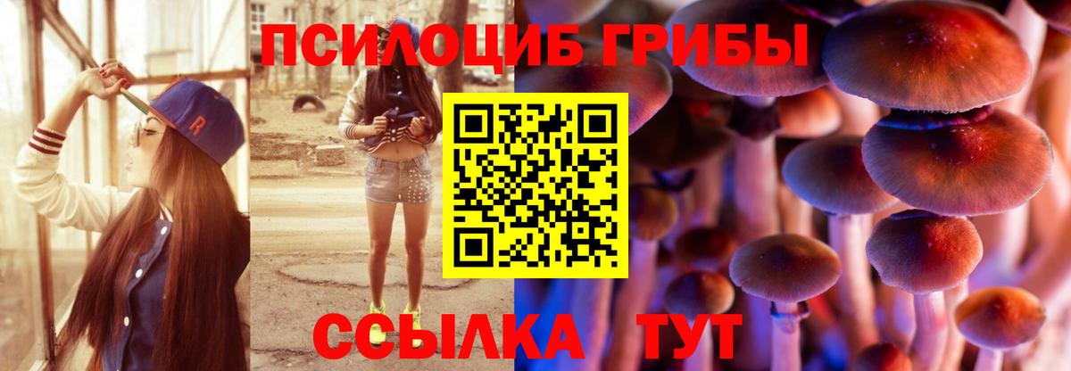 Галлюциногенные грибы ЛСД  Псилоцибиновые грибы GOLDEN TEACHER  Боровичи  Вход с VPN 